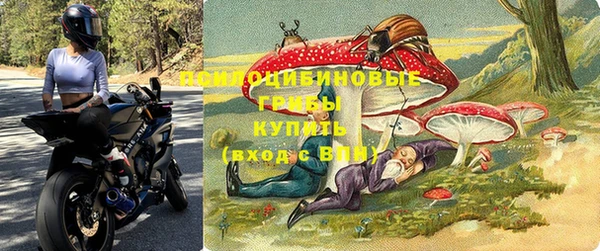 стафф Беломорск