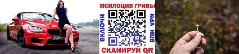 магазин    hydra зеркало  Псилоцибиновые грибы Cubensis  Окуловка 
