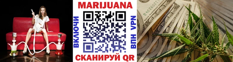 наркотики  Окуловка  Конопля сатива 